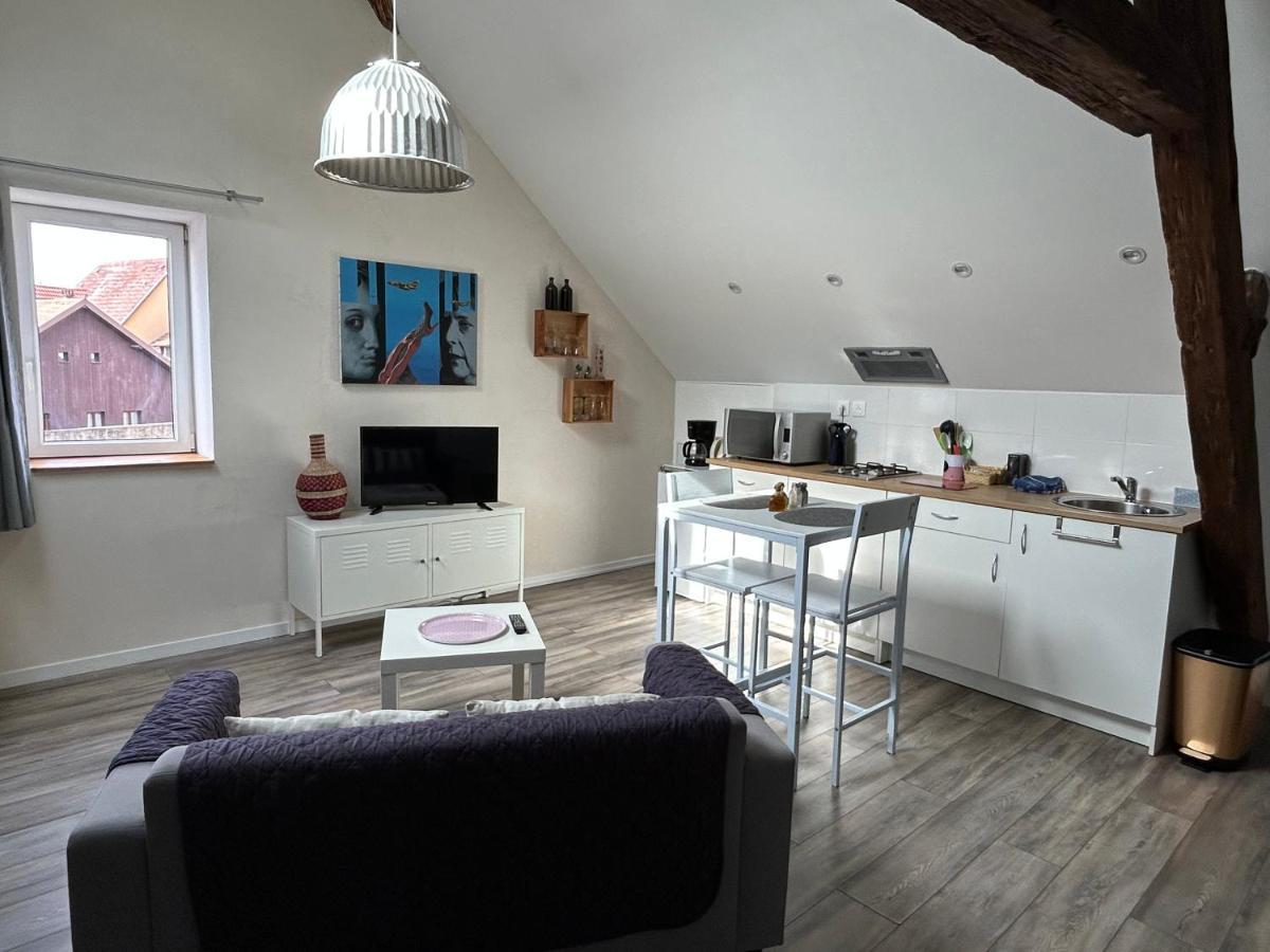 L'Ours De Colmar Bis Apartment Luaran gambar