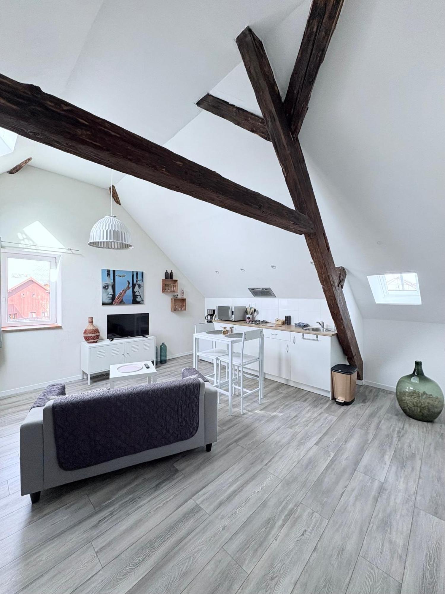 L'Ours De Colmar Bis Apartment Luaran gambar